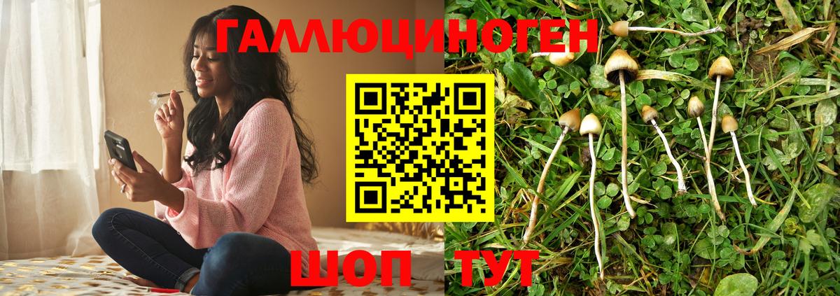 Конопля  ГАШИШ  КОКАИН  Меф МЯУ МЯУ кристаллы  Тавда  Вход с VPN 