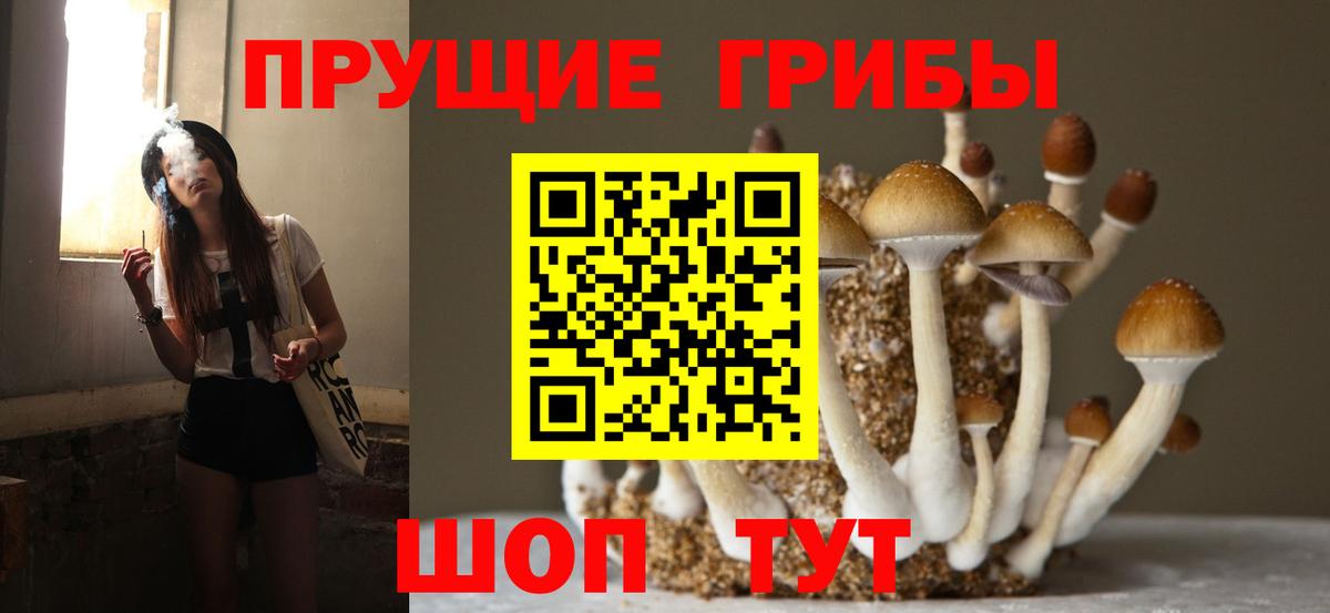 купить  сайты  Вход с VPN  Псилоцибиновые грибы Cubensis  Тавда  Псилоцибиновые грибы MAGIC MUSHROOMS 