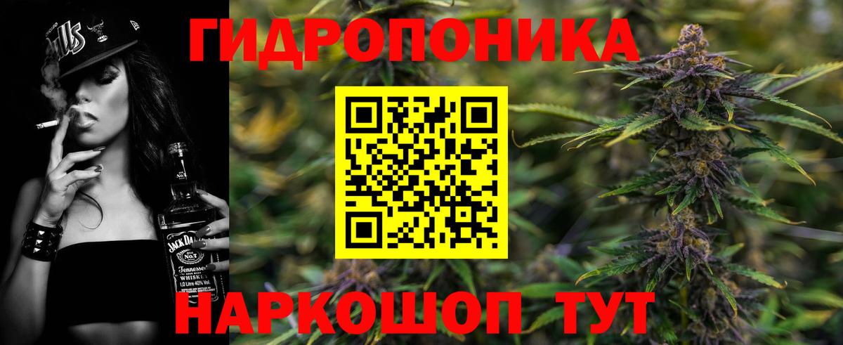 Бошки марихуана гибрид Тавда